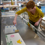 A visit to the Awagami Paper Factory in Awayamakawa, Shikoku Island. Jim and Laura had a go at making some sheets using coloured pulp