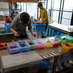 A visit to the Awagami Paper Factory in Awayamakawa, Shikoku Island. Jim and Laura had a go at making some sheets using coloured pulp