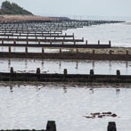 Felpham beach Bognor Regis