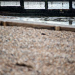 Felpham beach Bognor Regis