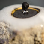 Ceramic Art London 2019 - Eddy Curtis