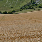 East Sussex
