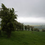 Northumberland, Cheviots