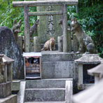 Kyoto: Fushimi Inari-Taisha