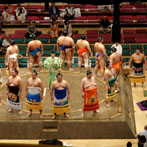 Tokyo, Sumo wrestling