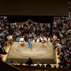Tokyo, Sumo wrestling