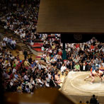 Tokyo, Sumo wrestling
