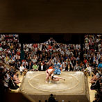 Tokyo, Sumo wrestling