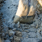 Kigbeare Kiln Project - Svend and Bjorn getting the insulation layer recipe just right.