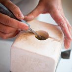 Lucianna Gallucci 2015