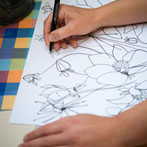 Lucianna Gallucci 2015