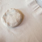 Lucianna Gallucci 2015