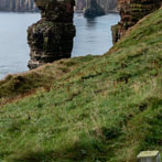 Duncansby Head