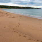 Melvich Beach