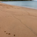 Melvich Beach