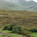 Beinn Spionnaidh