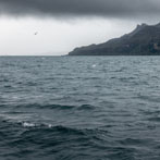 A boat trip from Portree around the Sound of Raasay, common dolphins