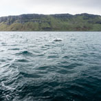 A boat trip from Portree around the Sound of Raasay