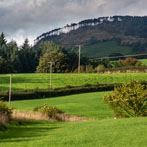 Just outside Gatehouse of Fleet