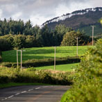 Just outside Gatehouse of Fleet