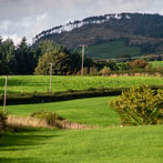 Just outside Gatehouse of Fleet