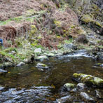 Dumfries and Galloway