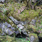 Dumfries and Galloway