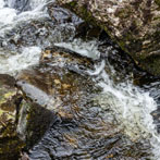 Dumfries and Galloway