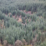 Dumfries and Galloway