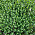 Dumfries and Galloway