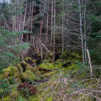 Dumfries and Galloway