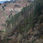 Dumfries and Galloway