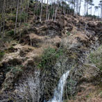 Dumfries and Galloway