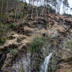 Dumfries and Galloway