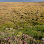 Northern Scotland 2018 - Wester Ross