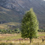 Northern Scotland 2018 - 