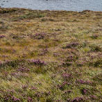 Northern Scotland 2018 - Wester Ross