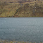 Northern Scotland 2018 - Skye