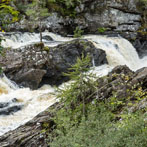 Northern Scotland 2018 - Rogie Falls
