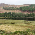 Northern Scotland 2018 - Strathconon