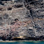 Tenerife 2019 - Los Gigantes