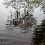 Trossachs