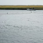 Fishermen - Cape Cod, MA