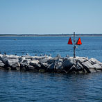 Cape Cod, MA