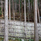 Kyoto 2019, Ginkaku-ji