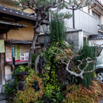 Kyoto 2019